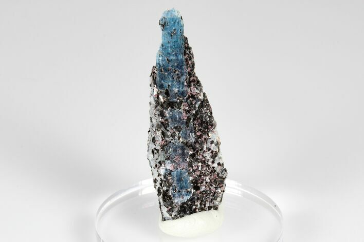 Blue Kyanite & Garnet in Biotite-Quartz Schist - Russia #178947